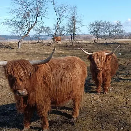 Podlesok 697 * Hrabusice