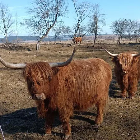 Podlesok 697 Ferienhaus