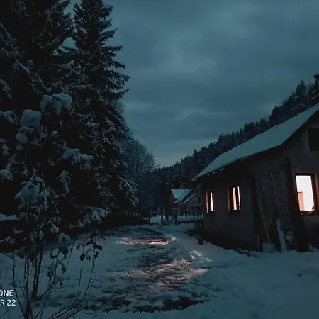 Ferienhaus Podlesok 697