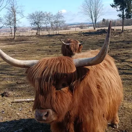 Podlesok 697 Káposztafalva