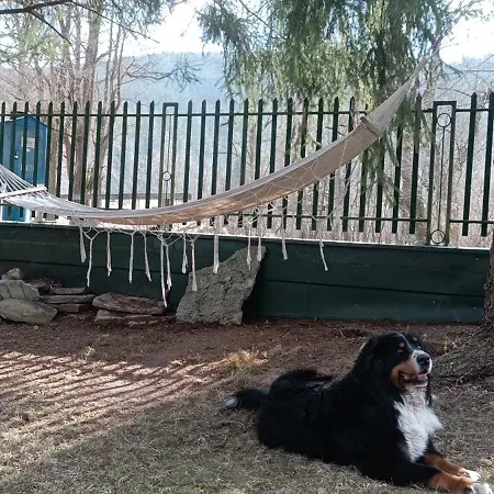 Podlesok 697 Nyaraló